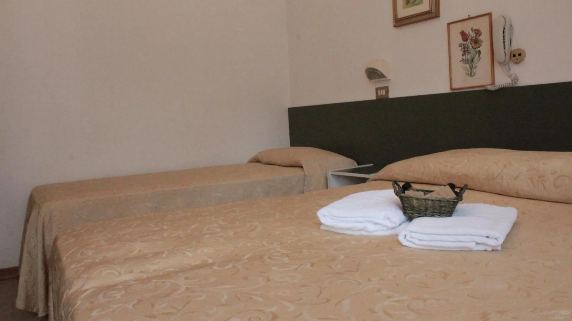Hotel Plaza Cesenatico İtalya