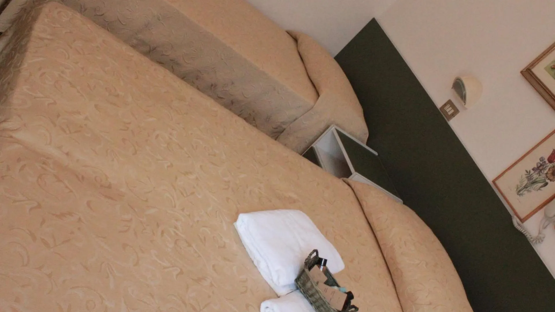 Hotel Plaza Cesenatico
